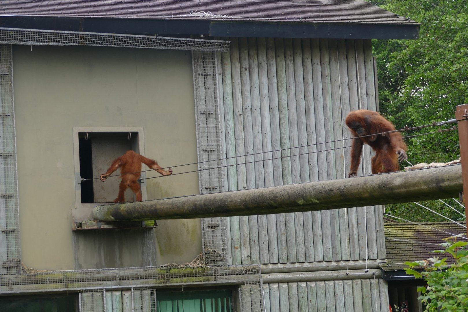 Jantho and Anette, June 2018
