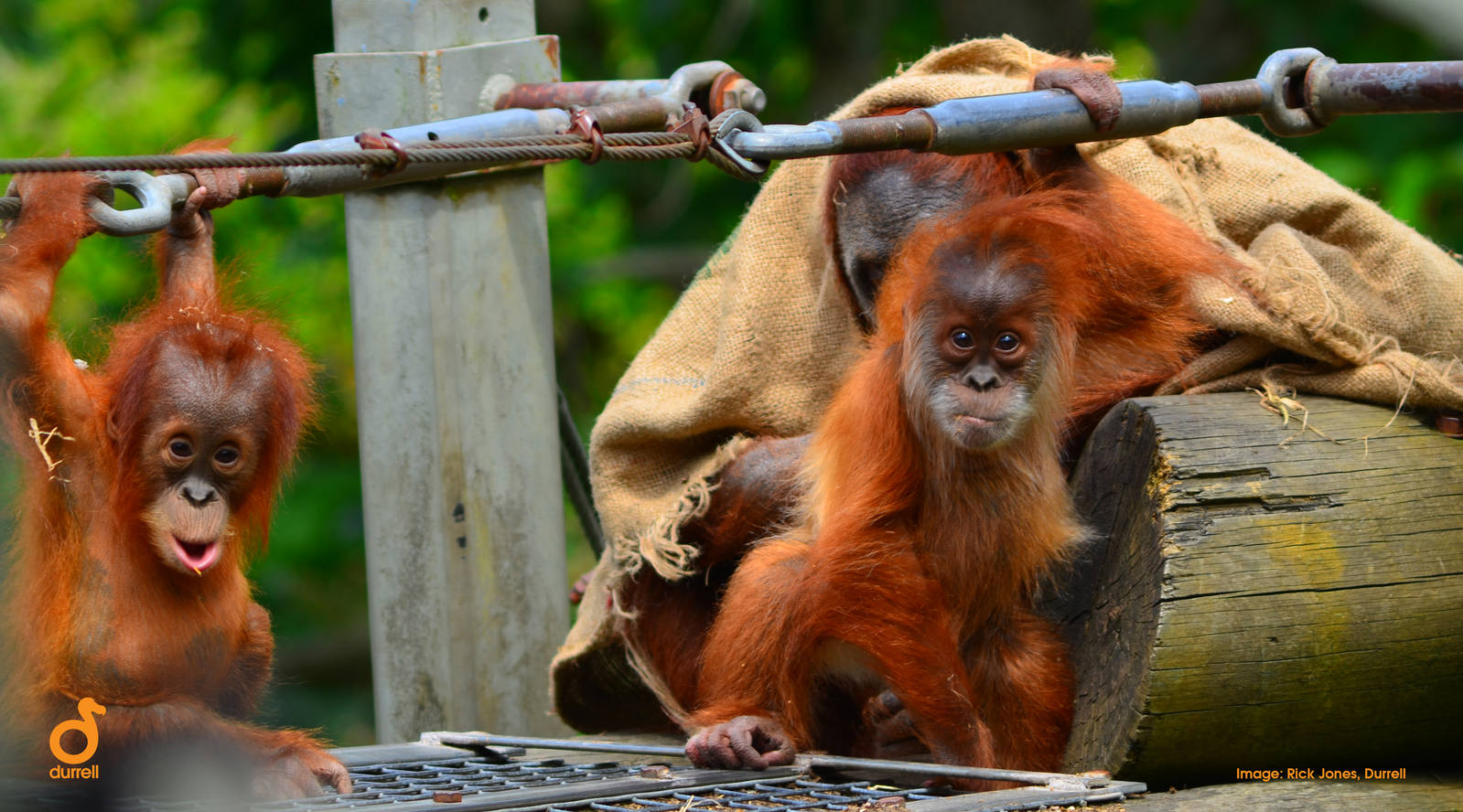 Jantho, Kea and Dana
