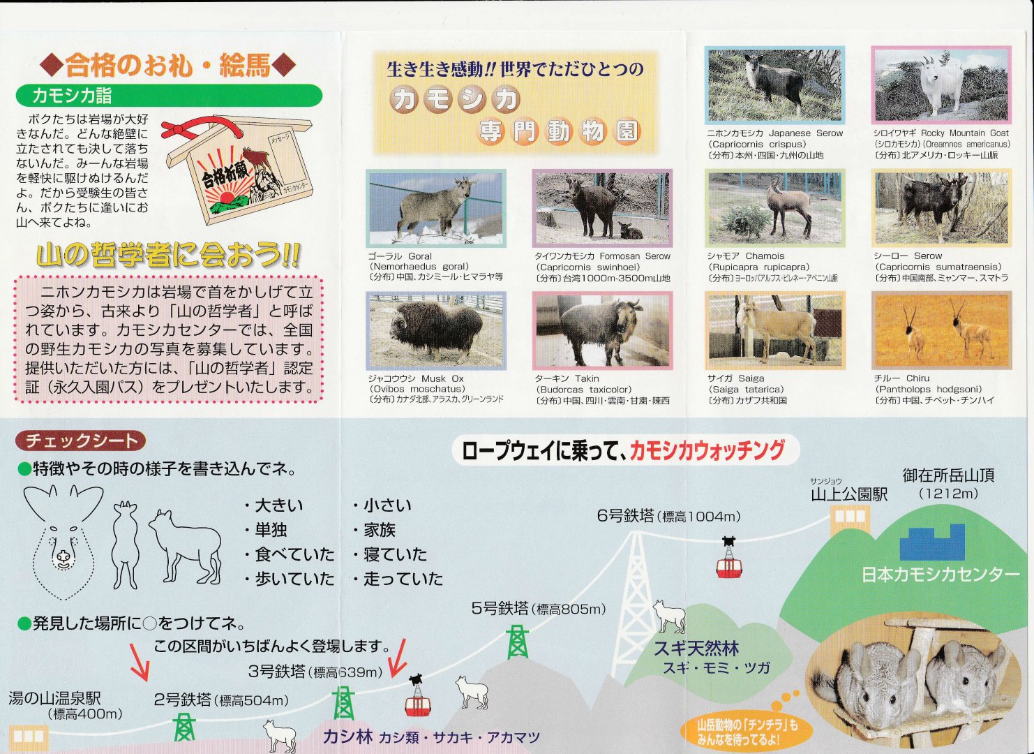Japan Serow Centre