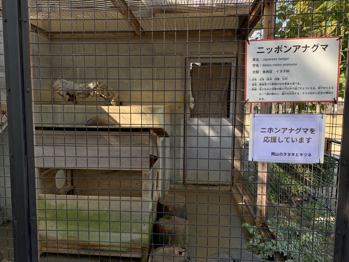 Japanese Badger Enclosure (Himeji City Zoo)