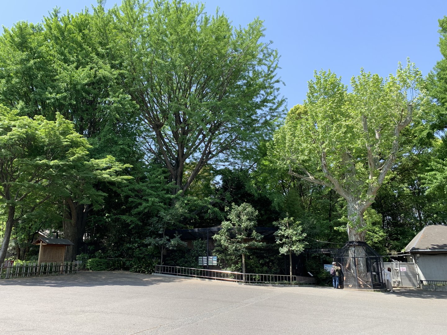 Japanese Bird and Squirrel Exhibits