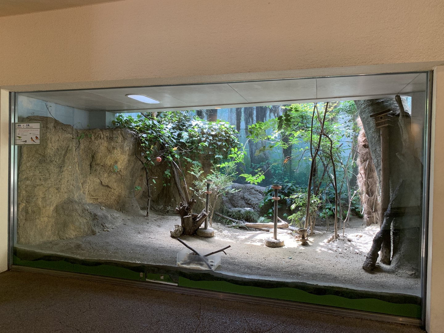Japanese Bird Exhibit