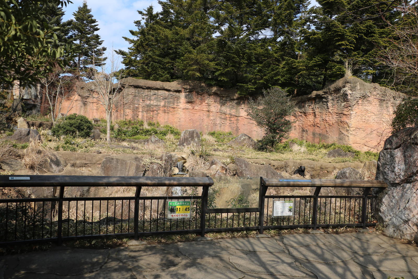 Japanese black bear enclosure, February 2016