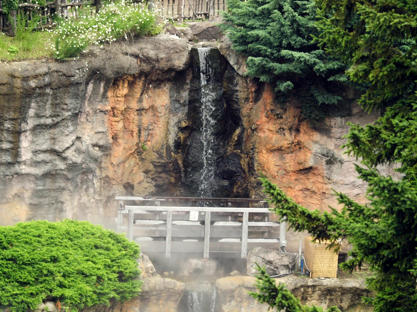 Japanese black bear enclosure