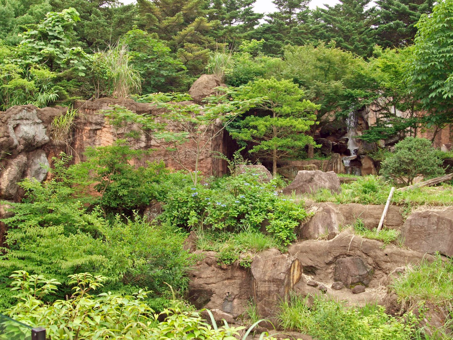 Japanese black bear enclosure