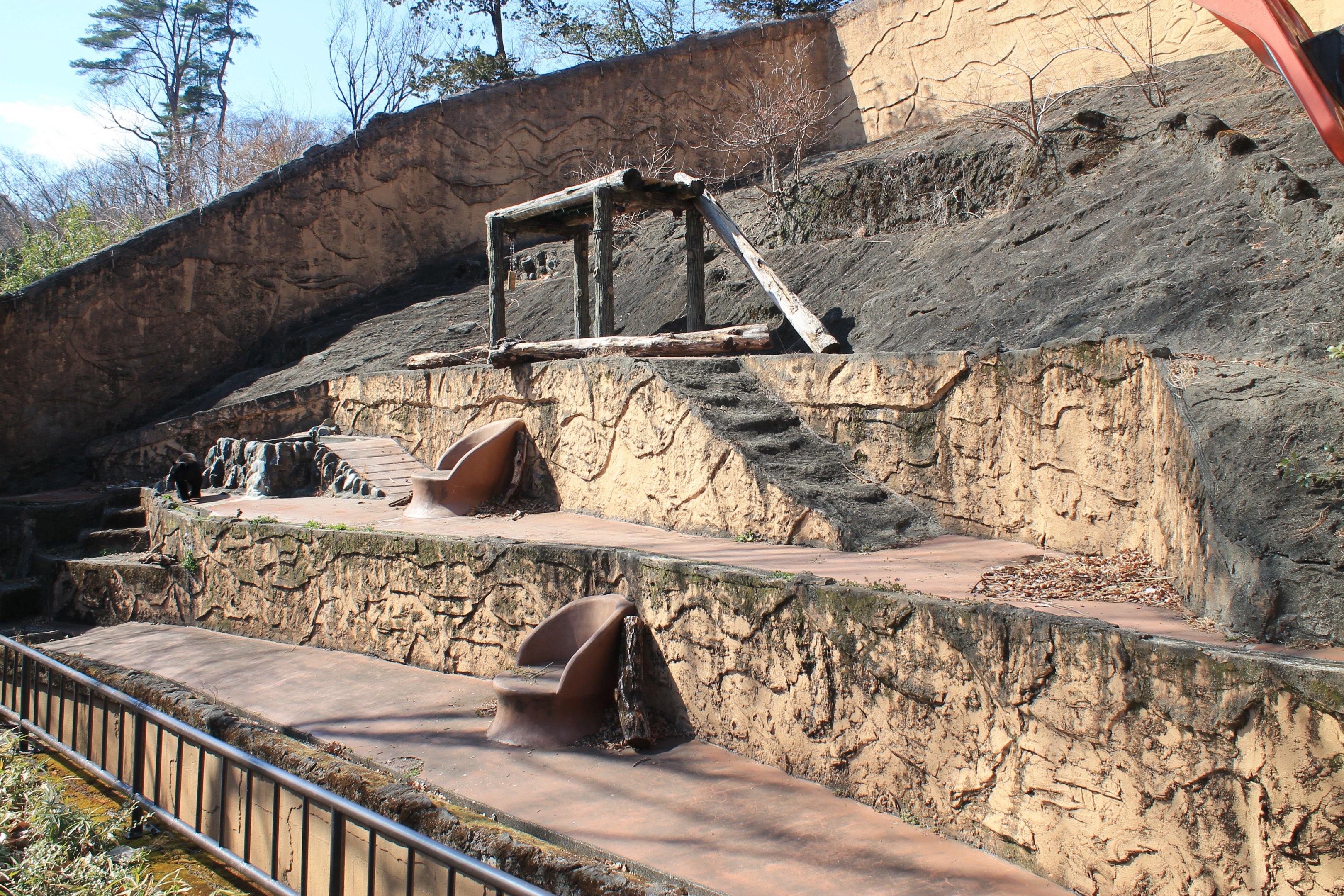 Japanese Black Bear enclosure