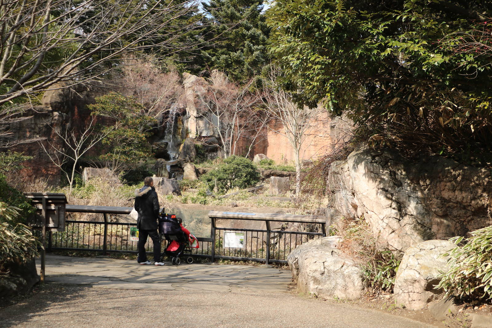 Japanese black bear viewing area, February 2016