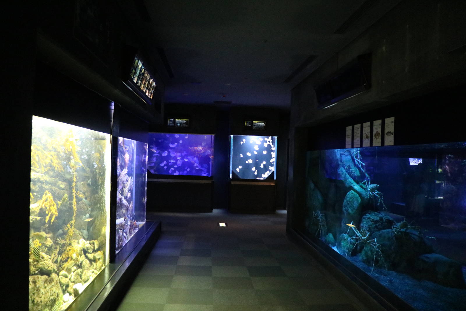 Japanese coastal tanks, February 2016