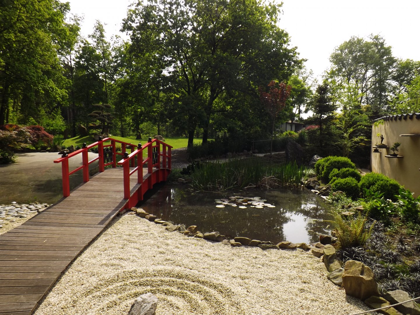 Japanese garden - 2013/14