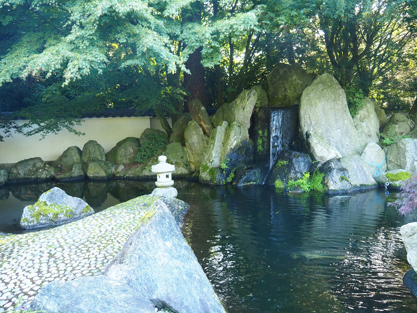 Japanese garden - Koi and Sturgeon pond, 2023-09-24