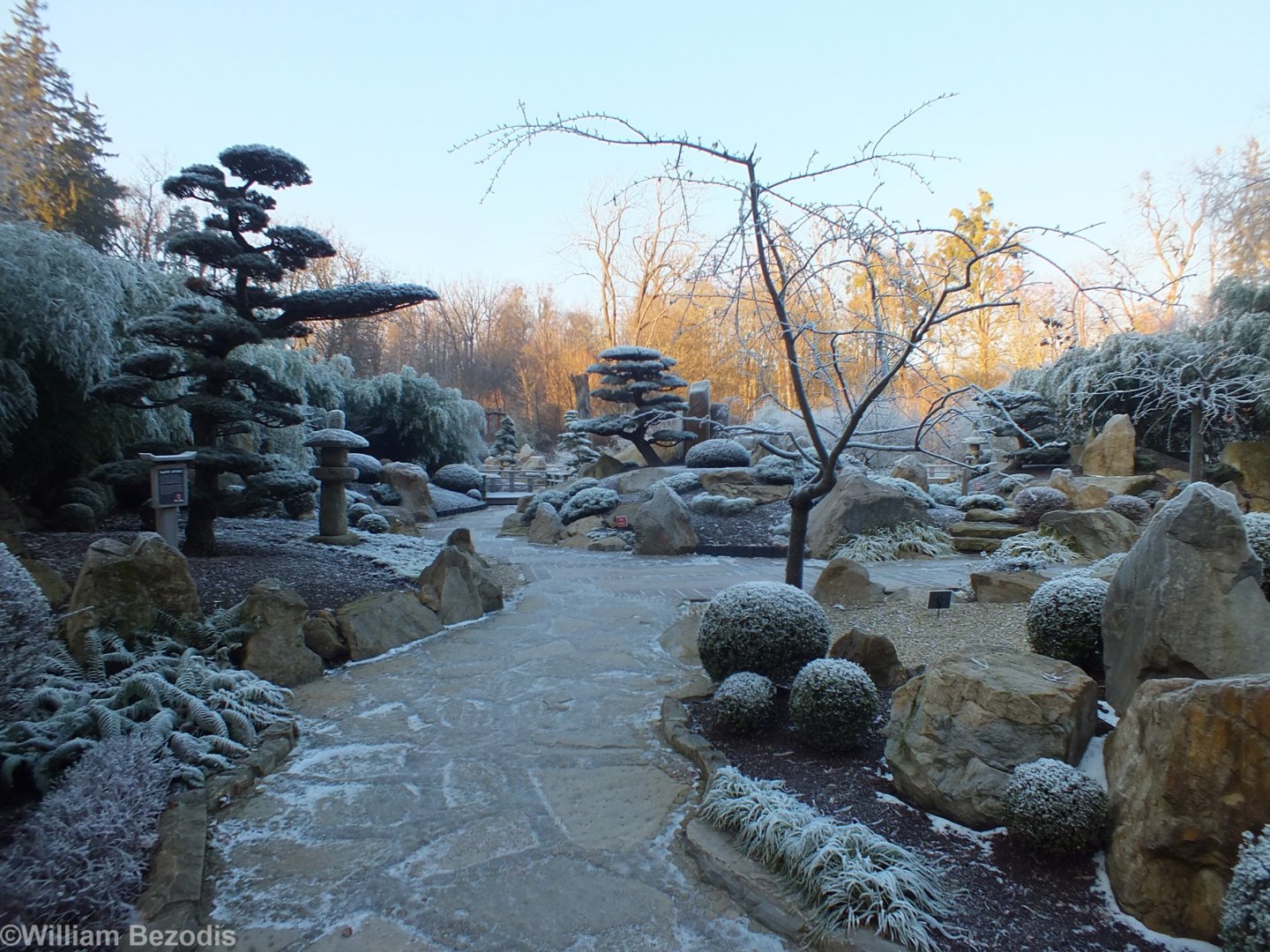 Japanese Garden