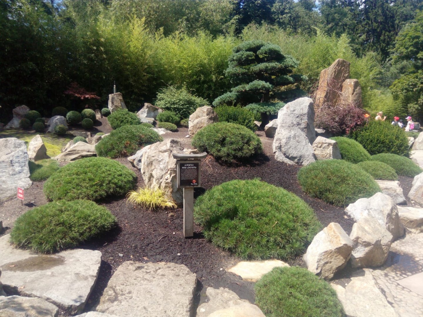 Japanese garden
