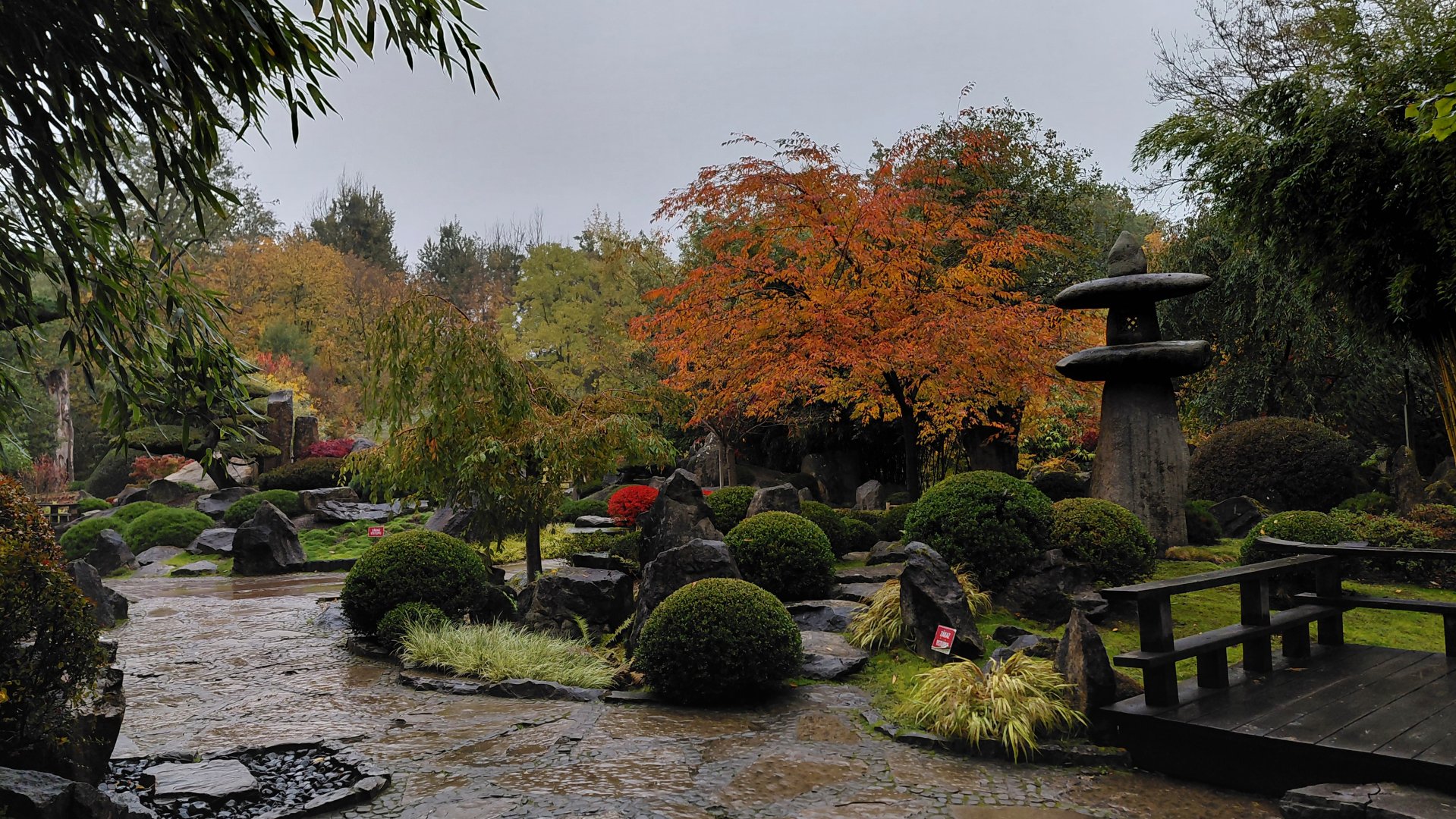 Japanese garden