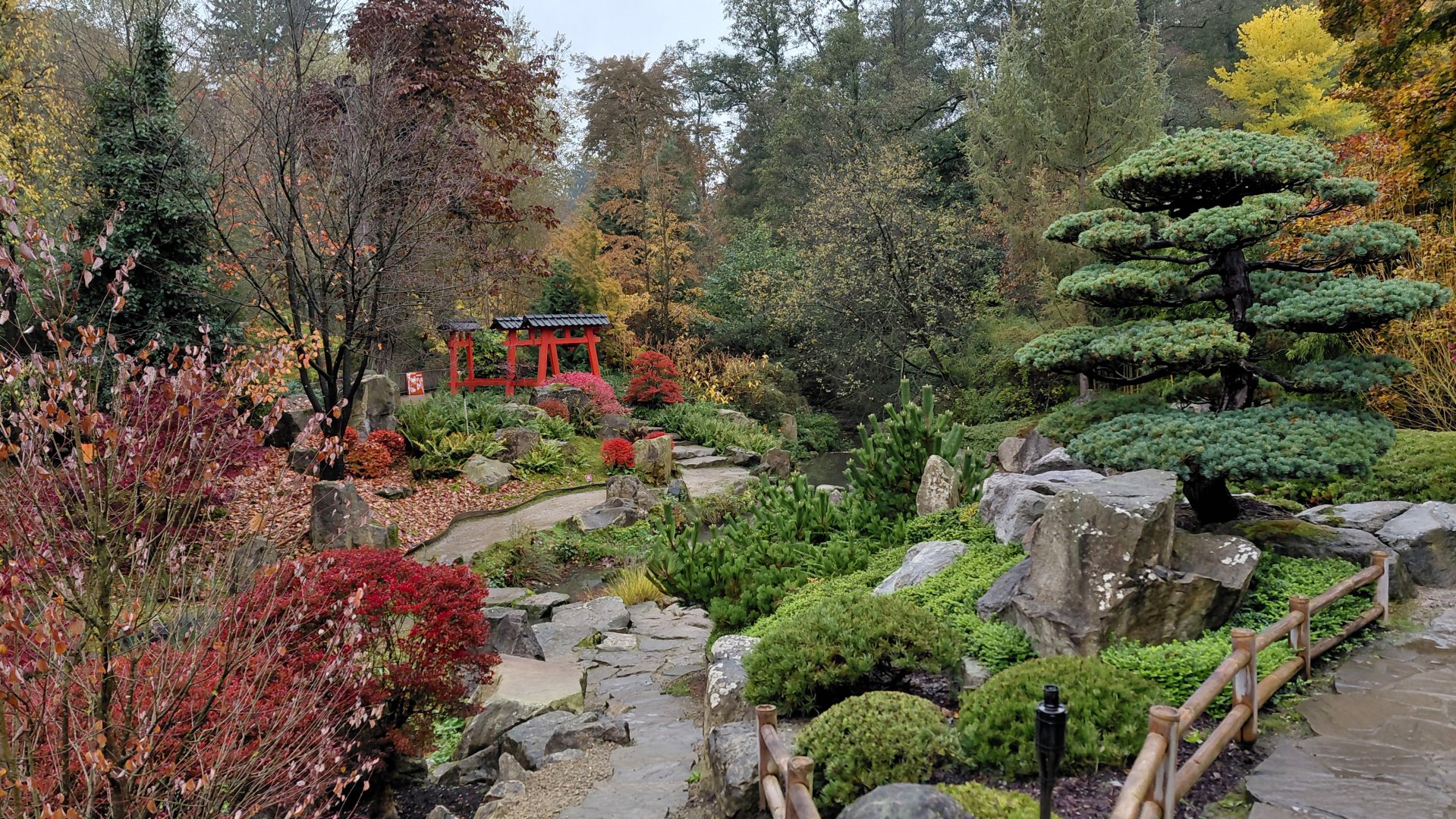Japanese garden