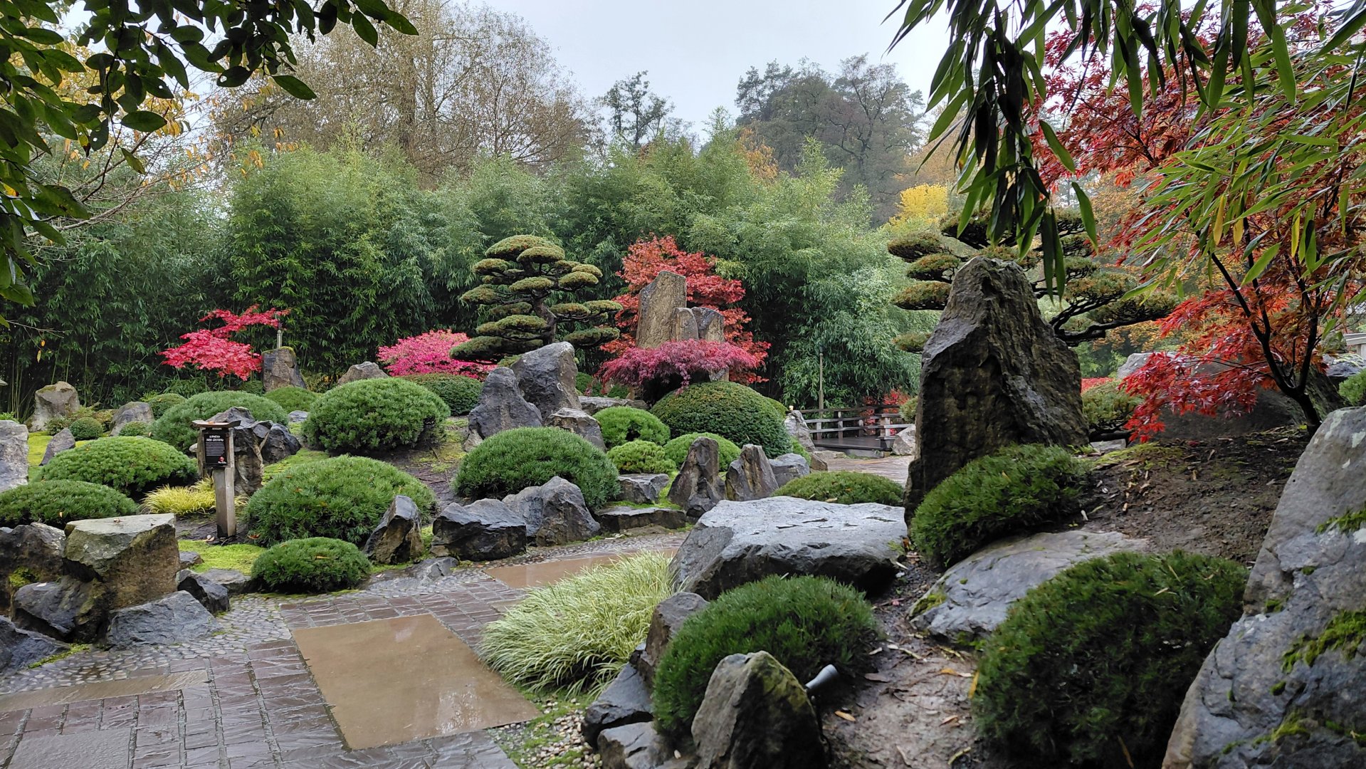 Japanese garden