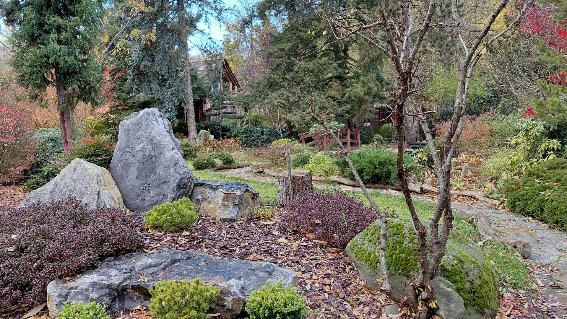 Japanese garden