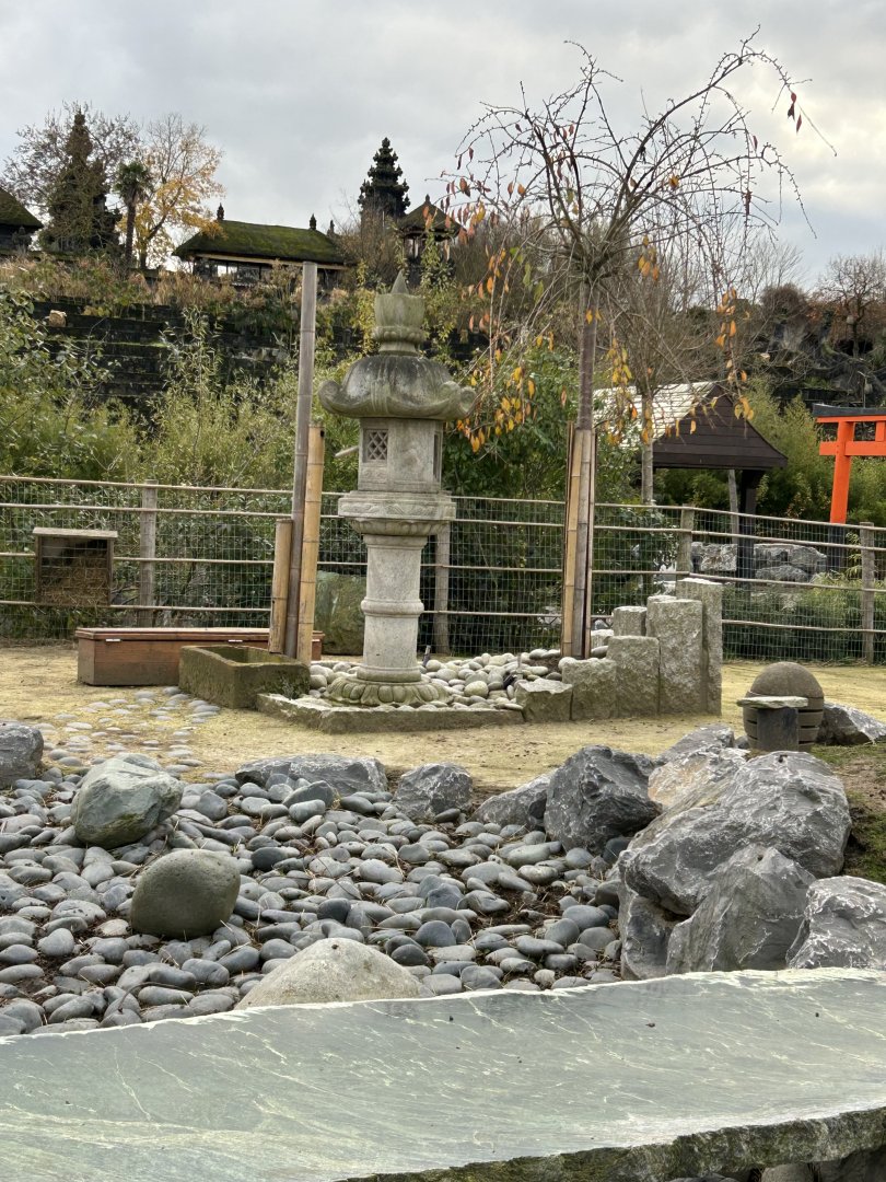 Japanese garden