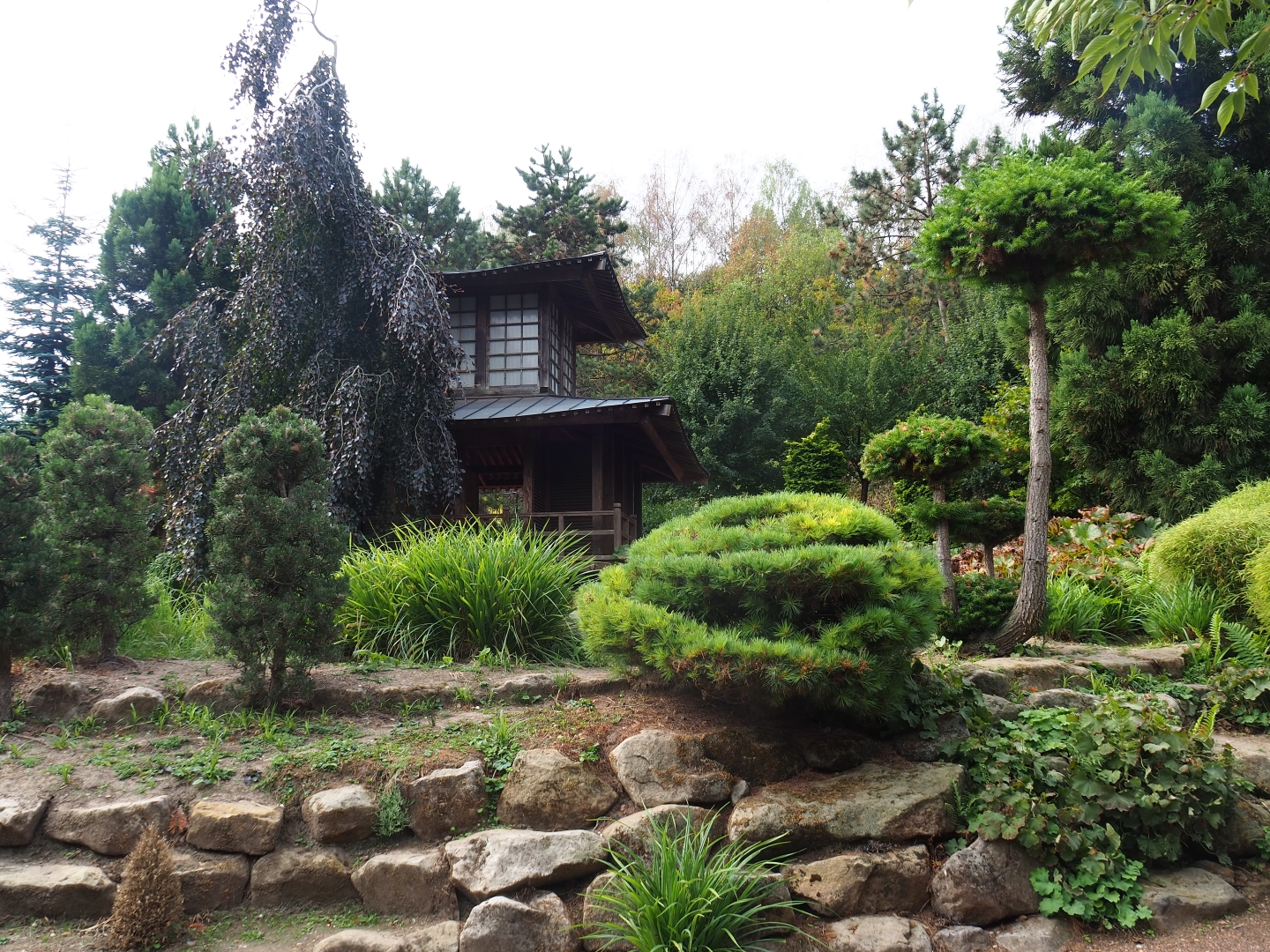 Japanese gardens (Aug 28th, 2018)