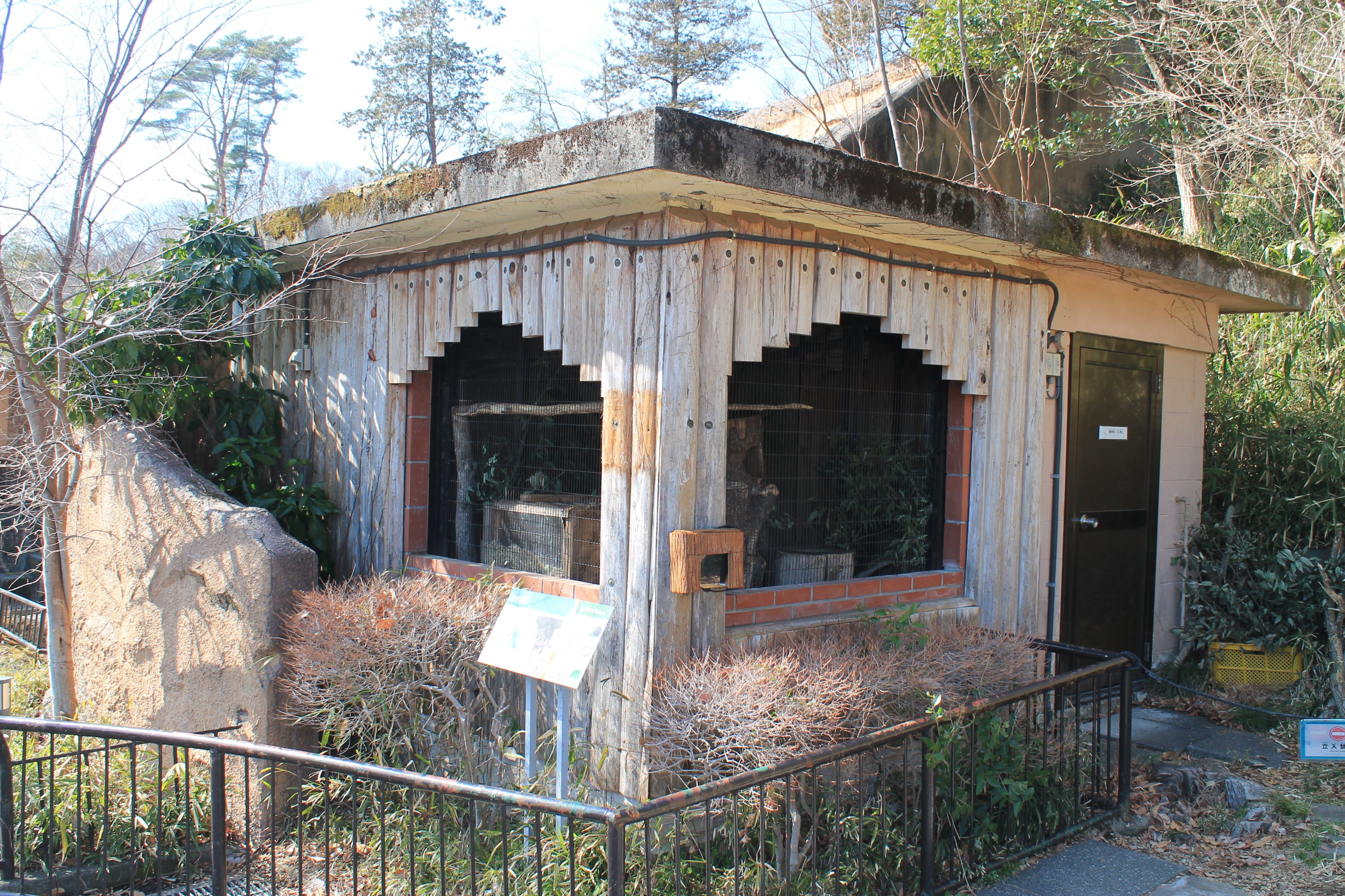 Japanese Giant Flying Squirrel cage