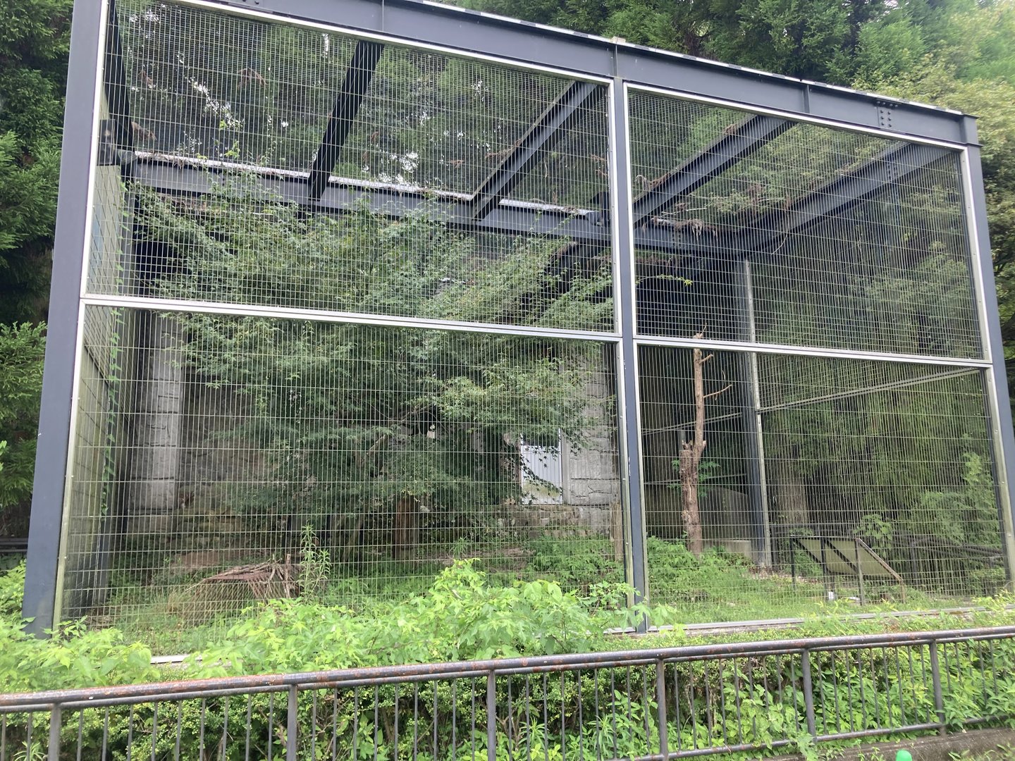 Japanese hare exhibit