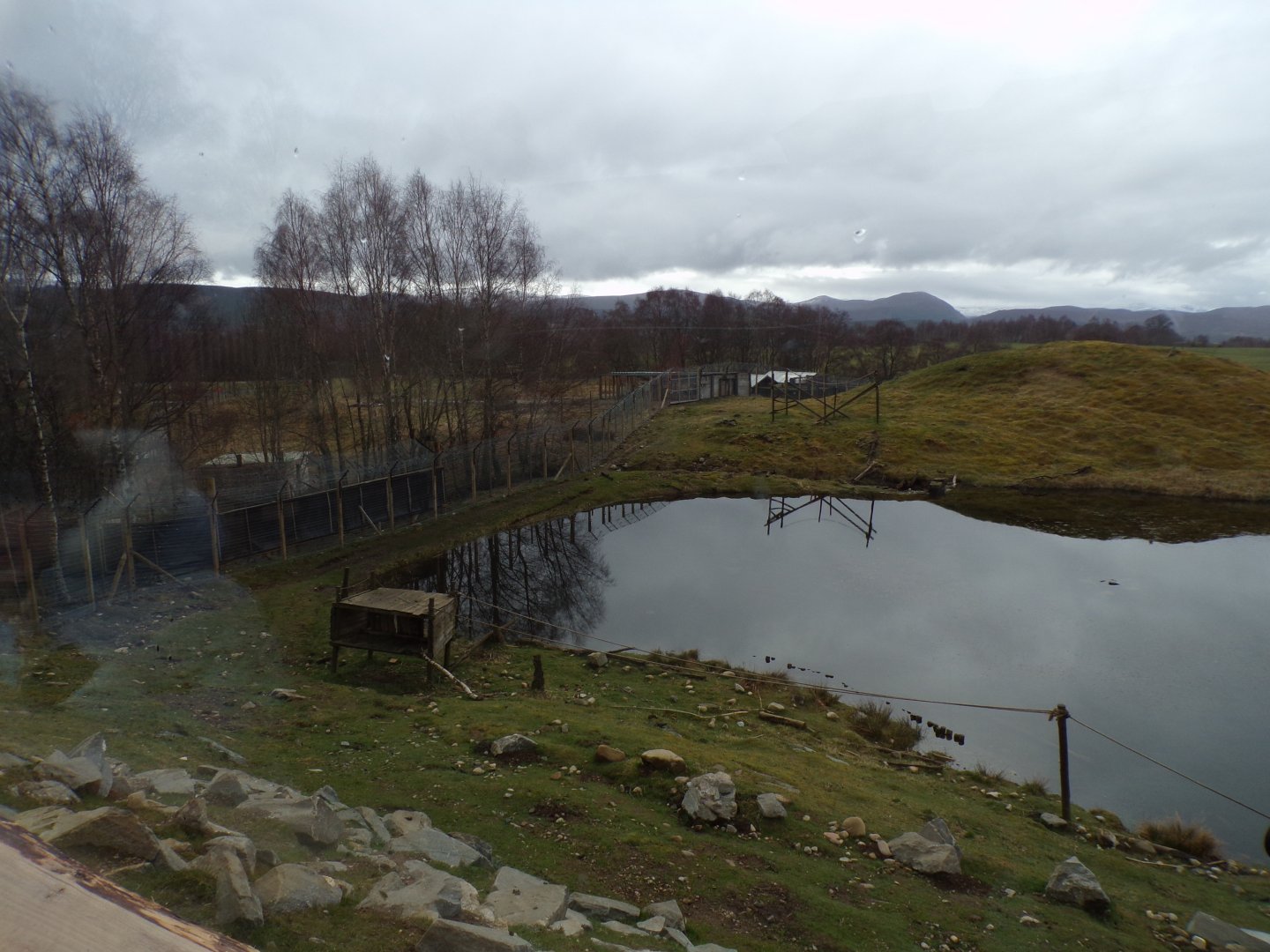 Japanese macaque enclosure 5.4.24