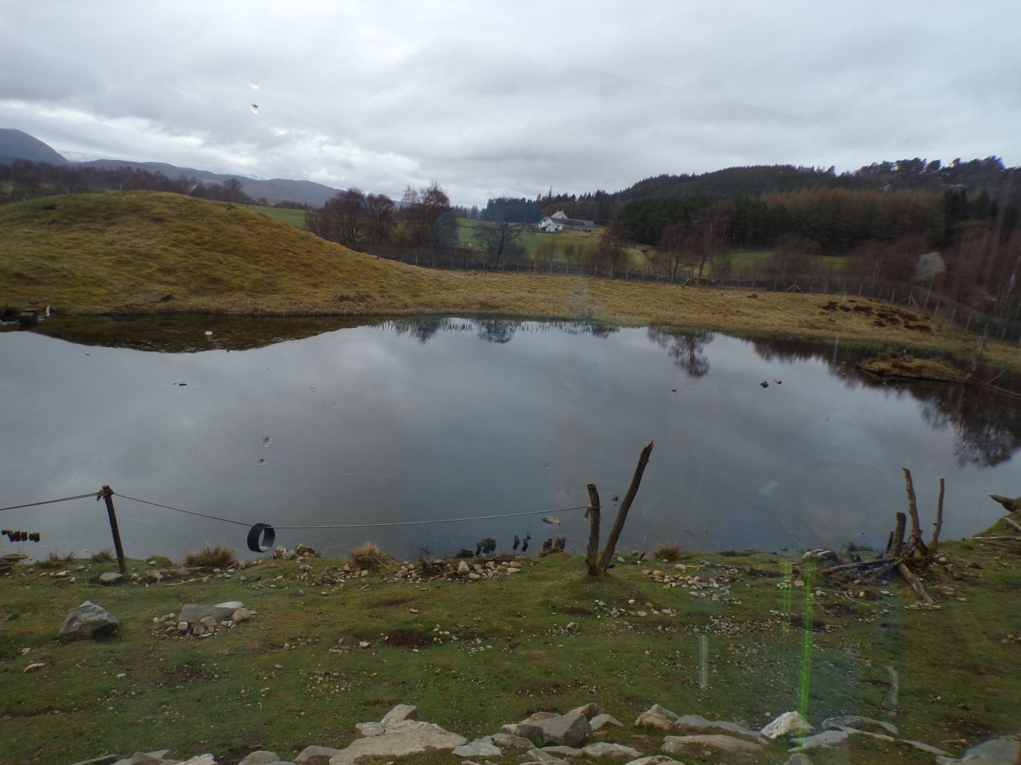 Japanese macaque enclosure 5.4.24