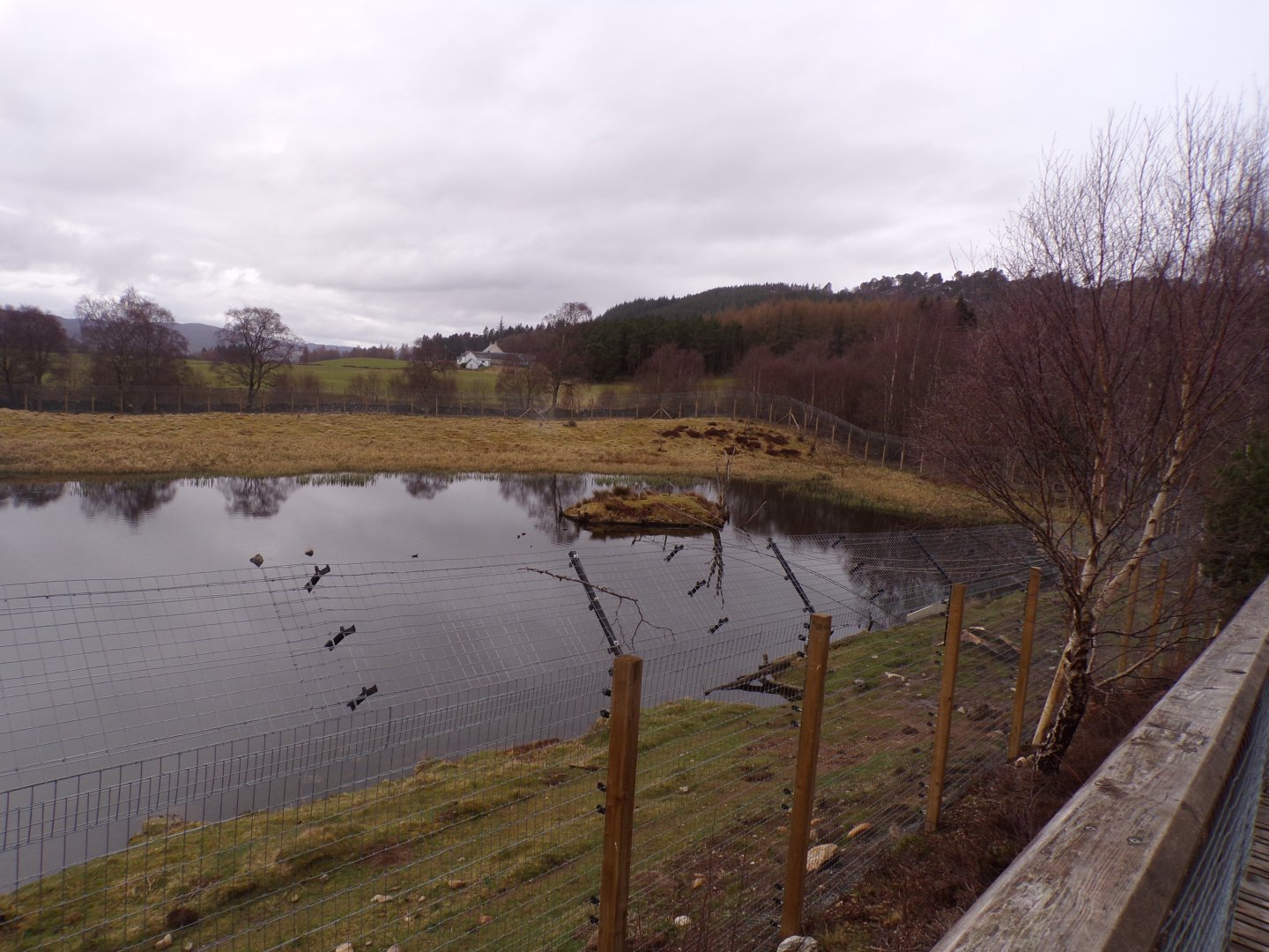 Japanese macaque enclosure 5.4.24