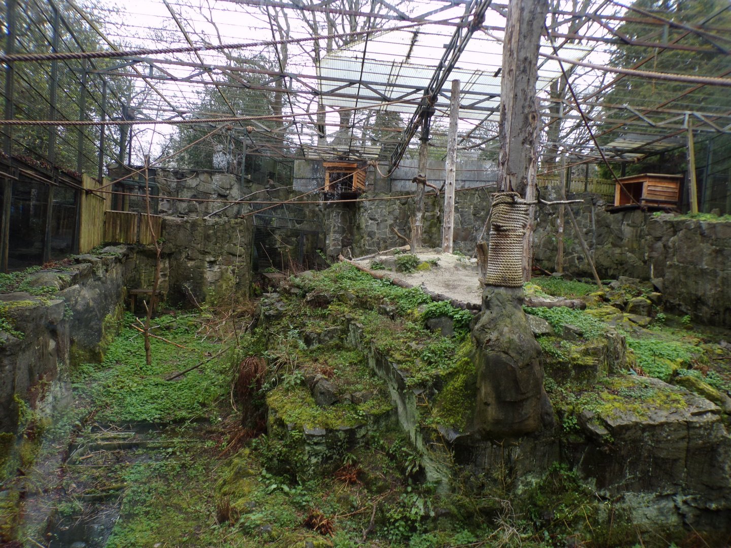 Japanese macaque enclosure 9.4.24