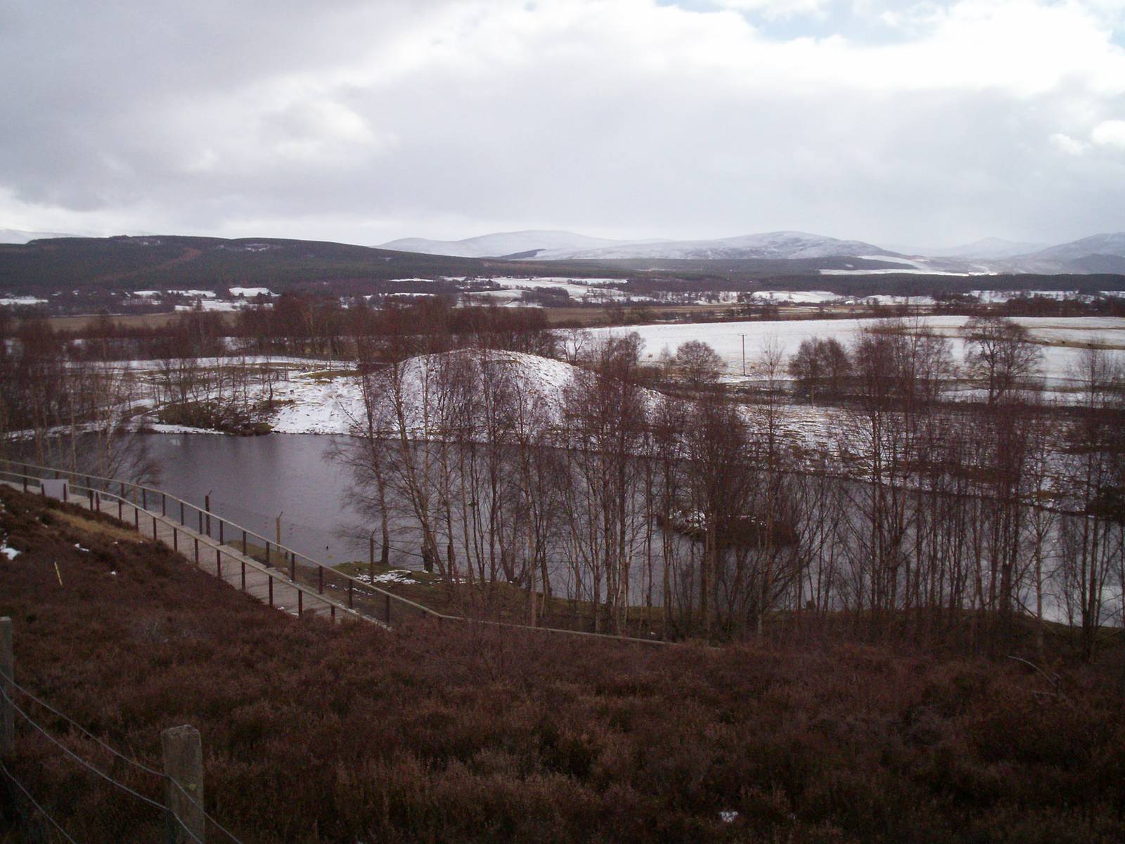 Japanese macaque enclosure and boardwalk at HWP