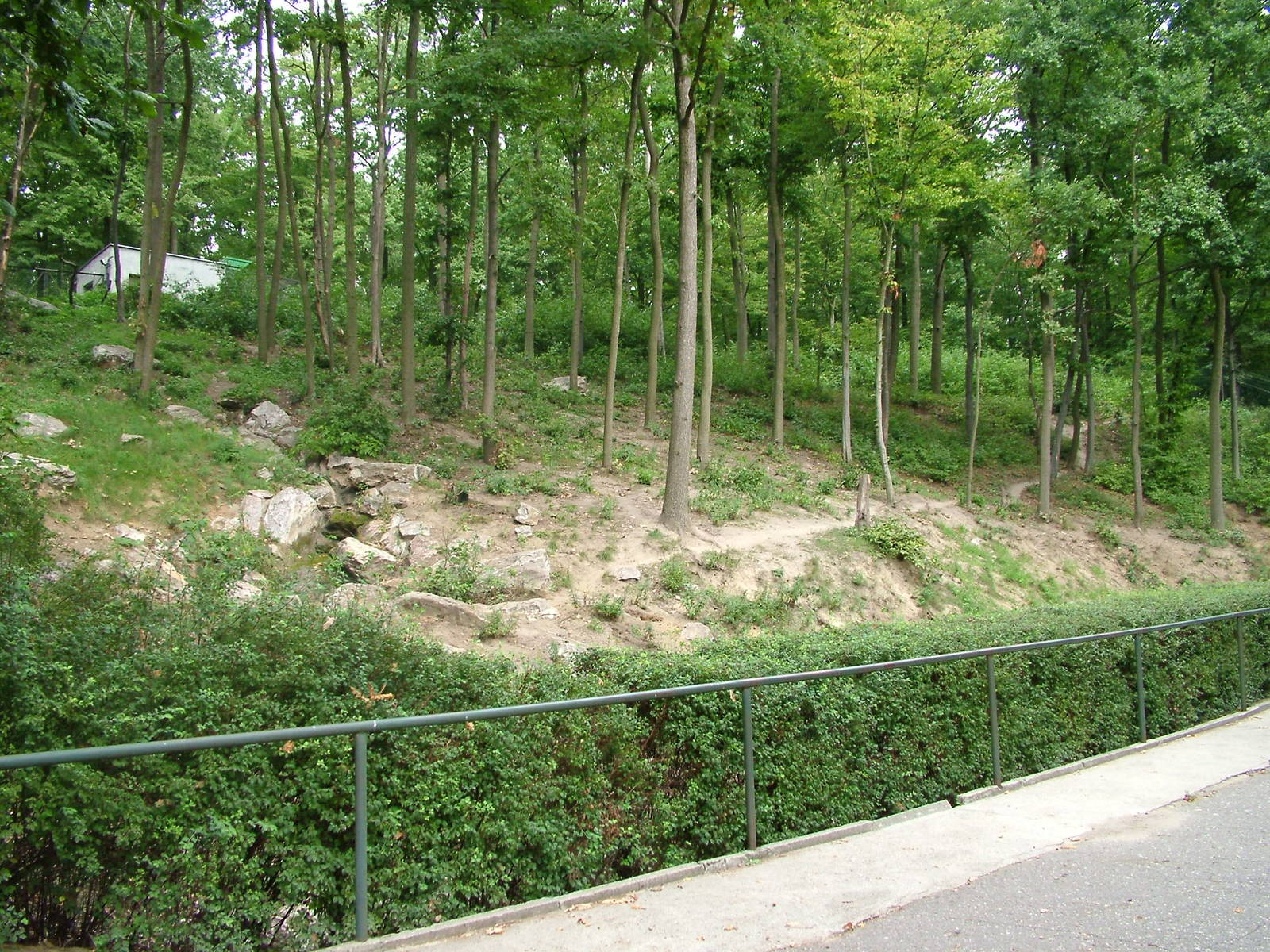 Japanese Macaque enclosure at the New Zoo, Poznan Sept 08