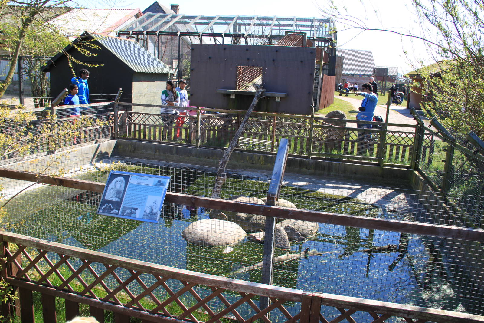 Japanese Macaque Enclosure