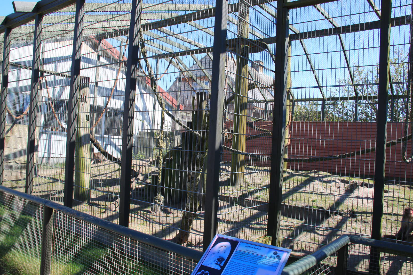Japanese Macaque Enclosure