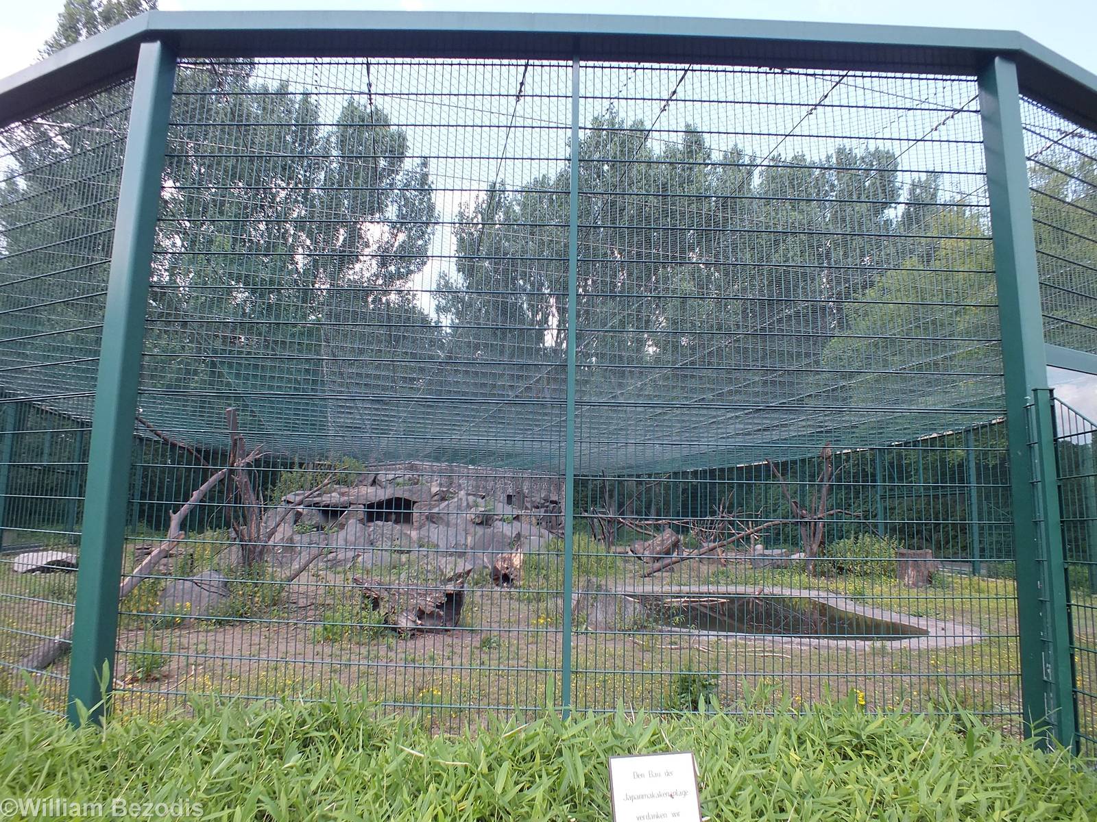 Japanese Macaque Enclosure