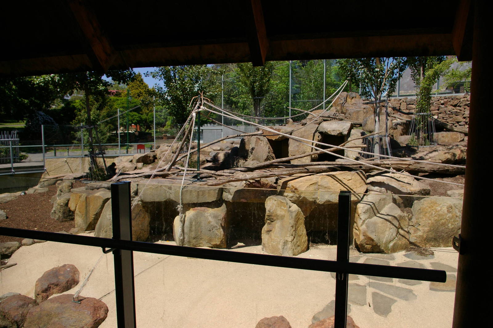 Japanese macaque enclosure