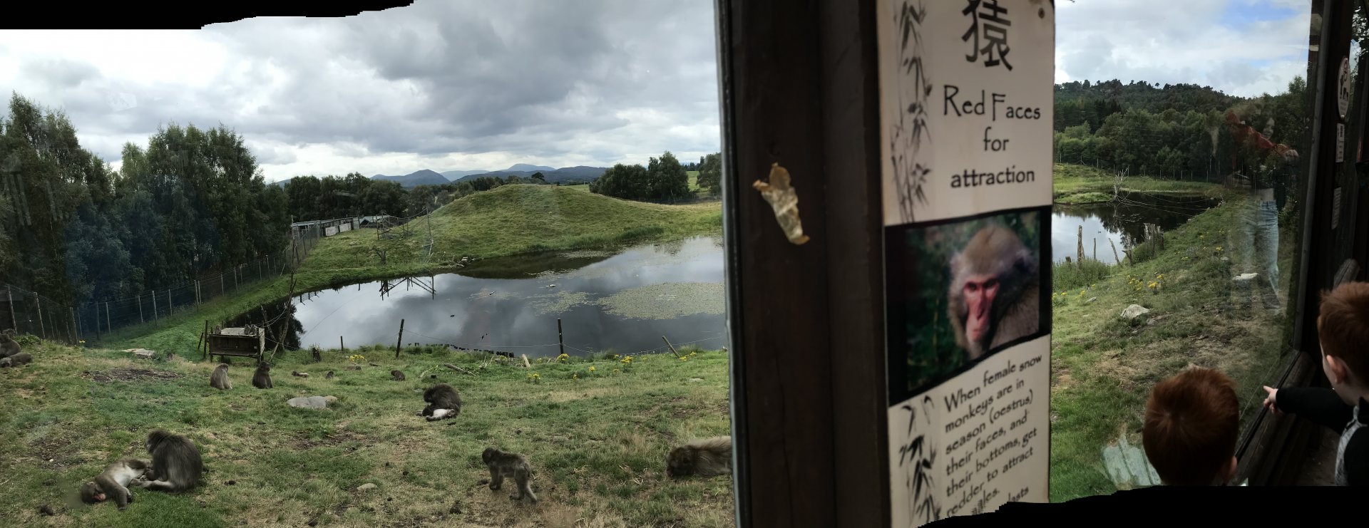 Japanese macaque enclosure