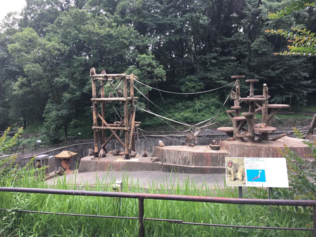 Japanese macaque enclosure