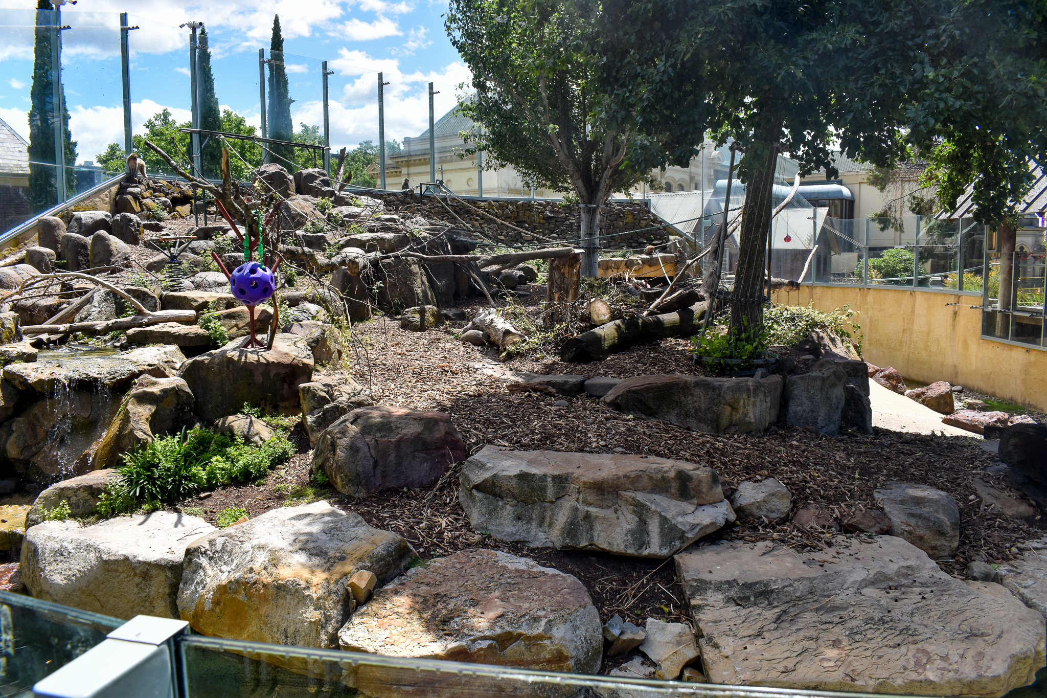 Japanese Macaque enclosure
