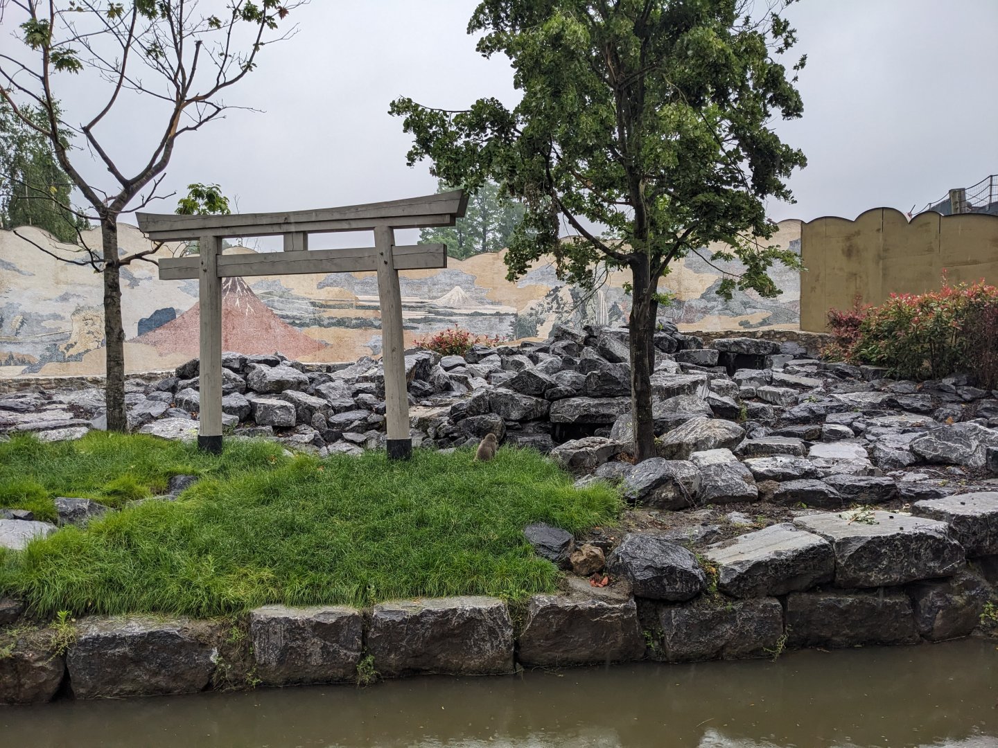 Japanese Macaque Enclosure