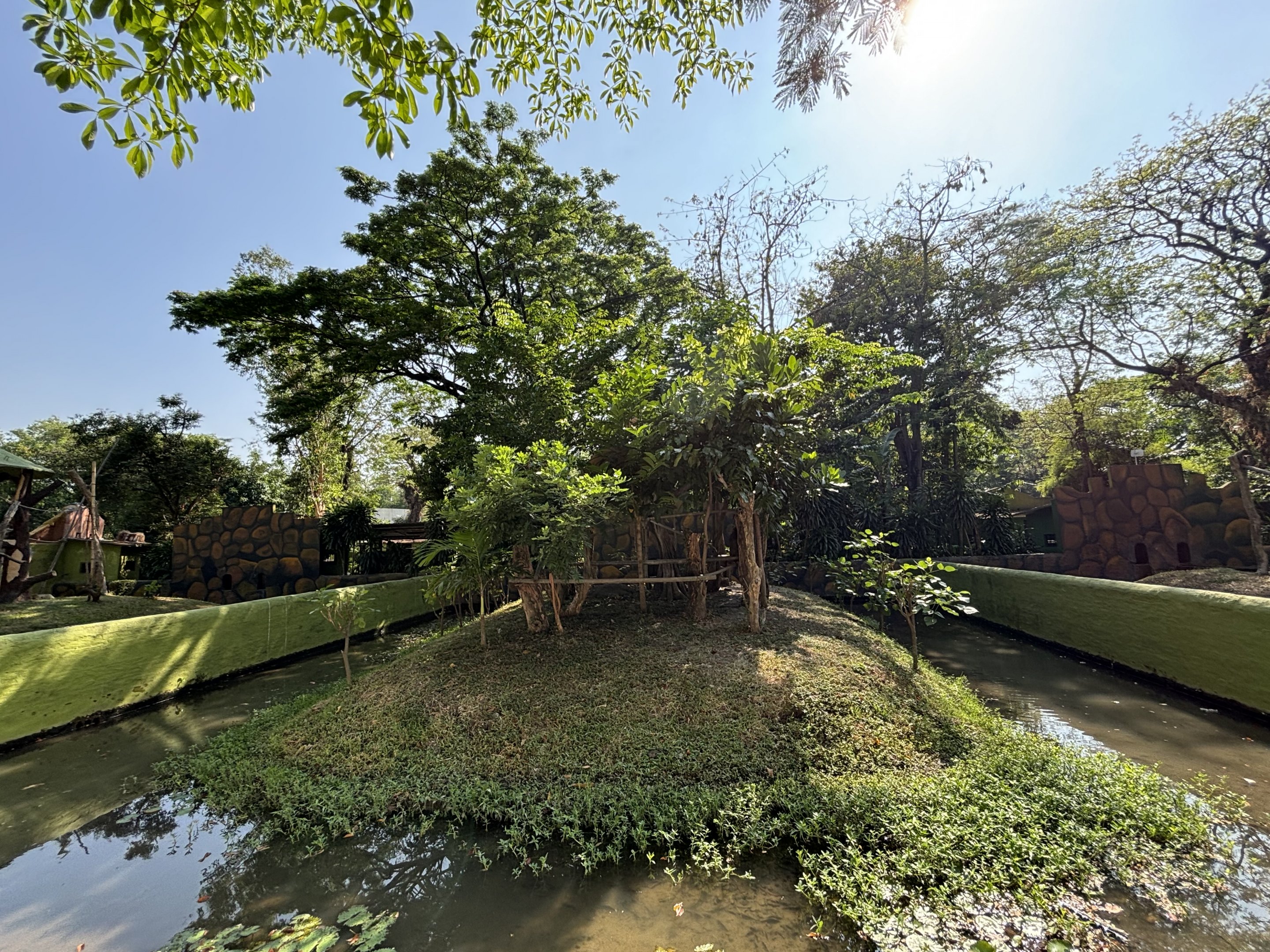 Japanese Macaque Exhibit #2
