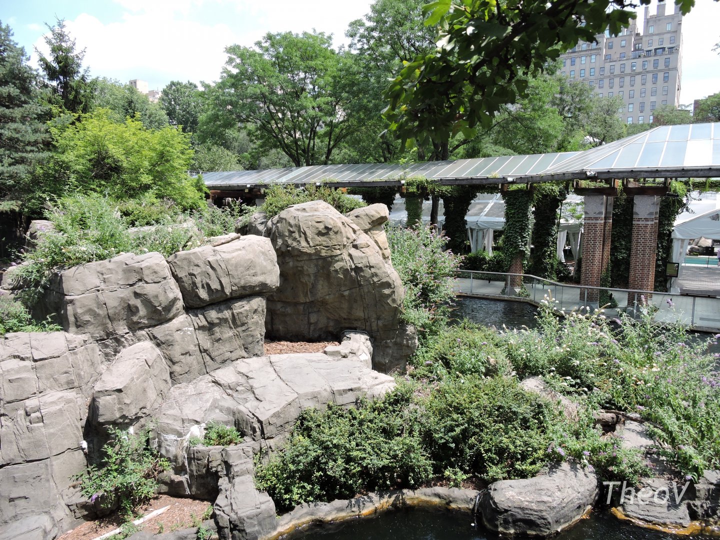 Japanese macaque exhibit [2015]