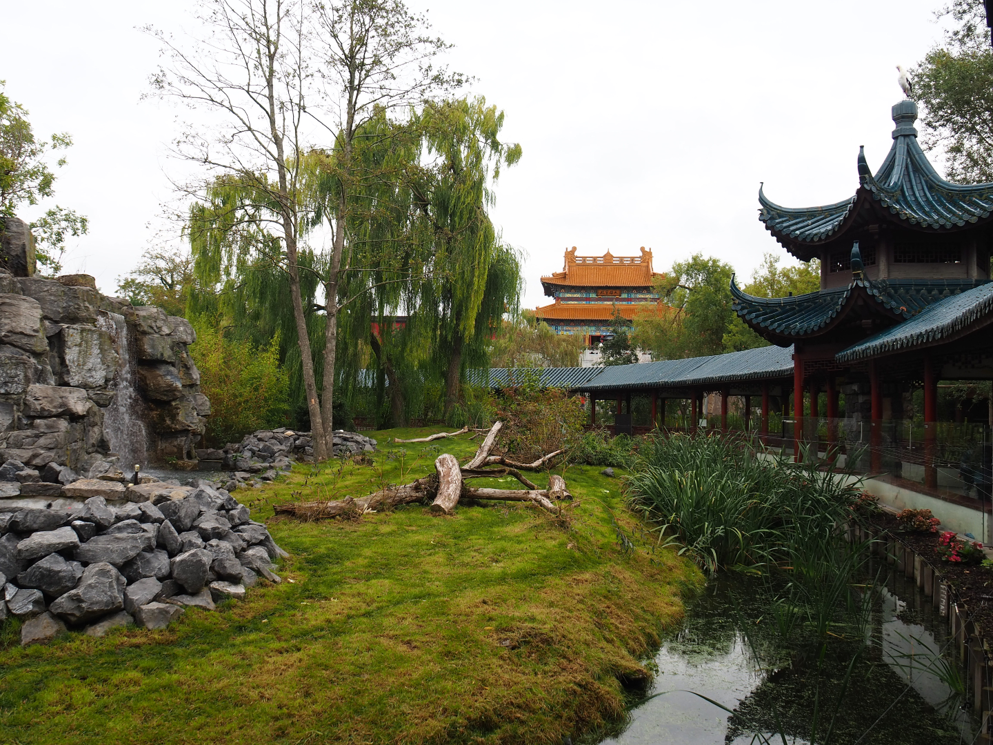 Japanese macaque exhibit, 2019-10-05