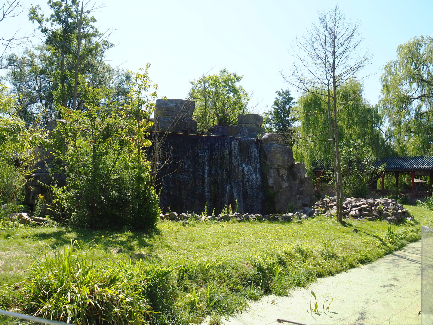 Japanese macaque exhibit, 2022-06-28