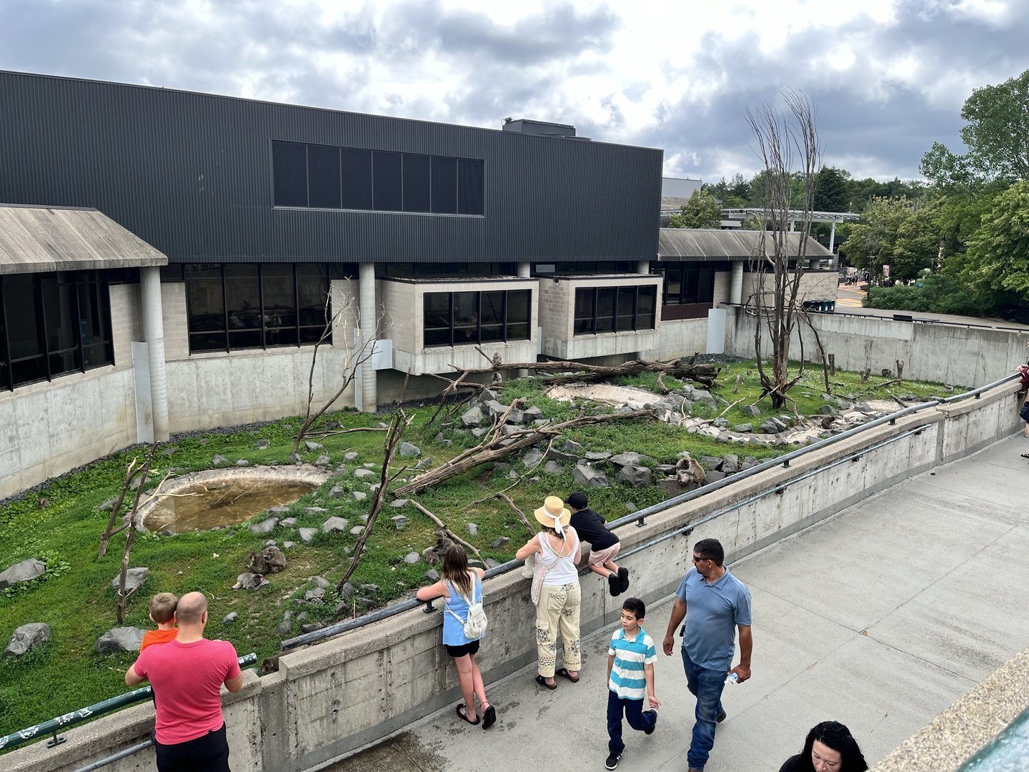 Japanese Macaque Exhibit Along the Ramp