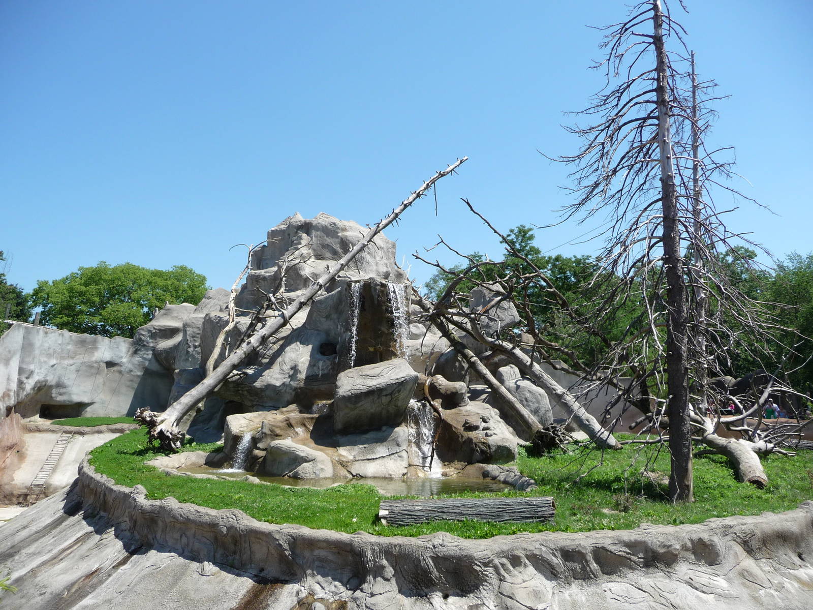 Japanese Macaque Exhibit - Detroit Zoo