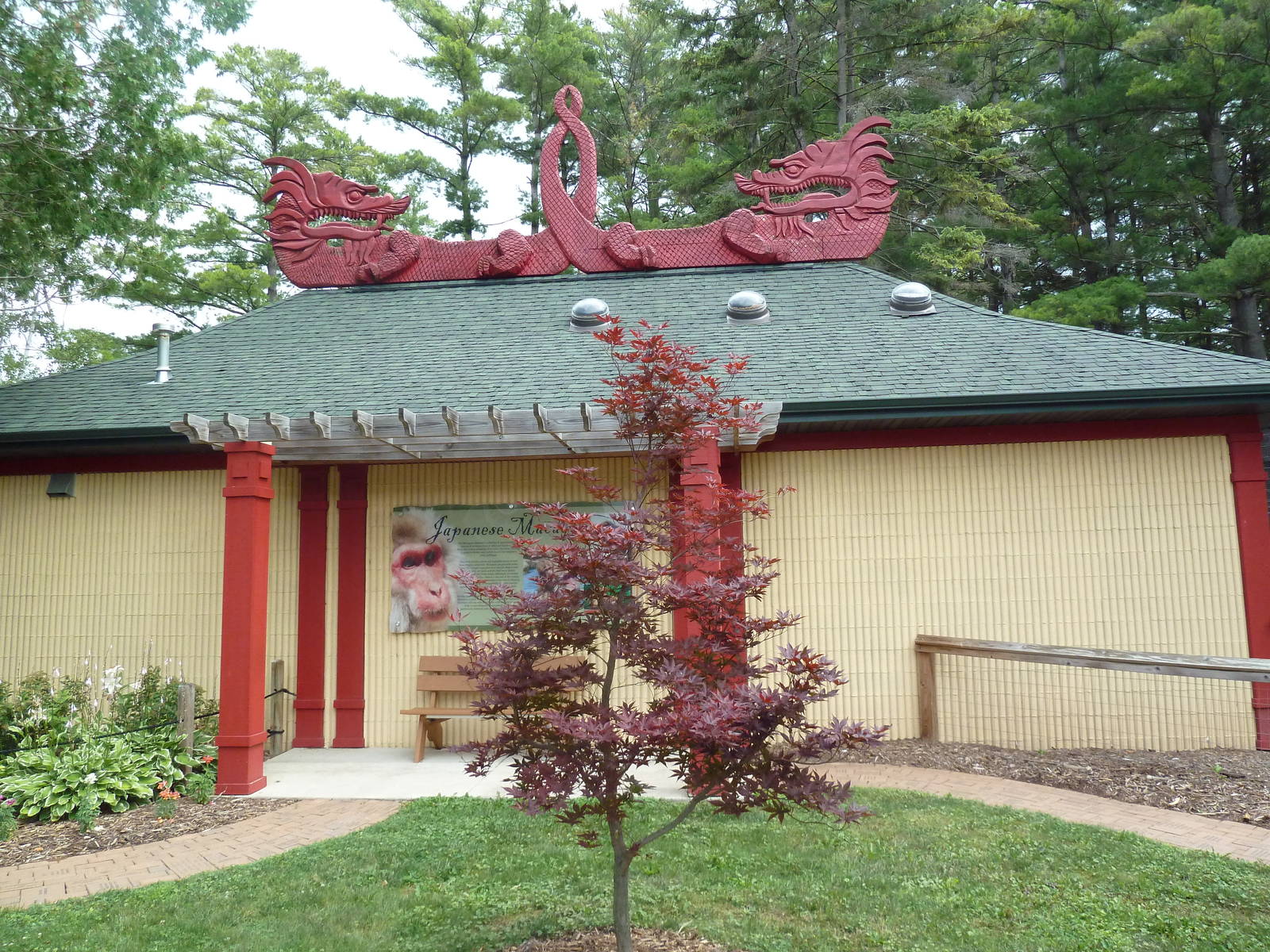 Japanese Macaque Exhibit - Indoor Housing