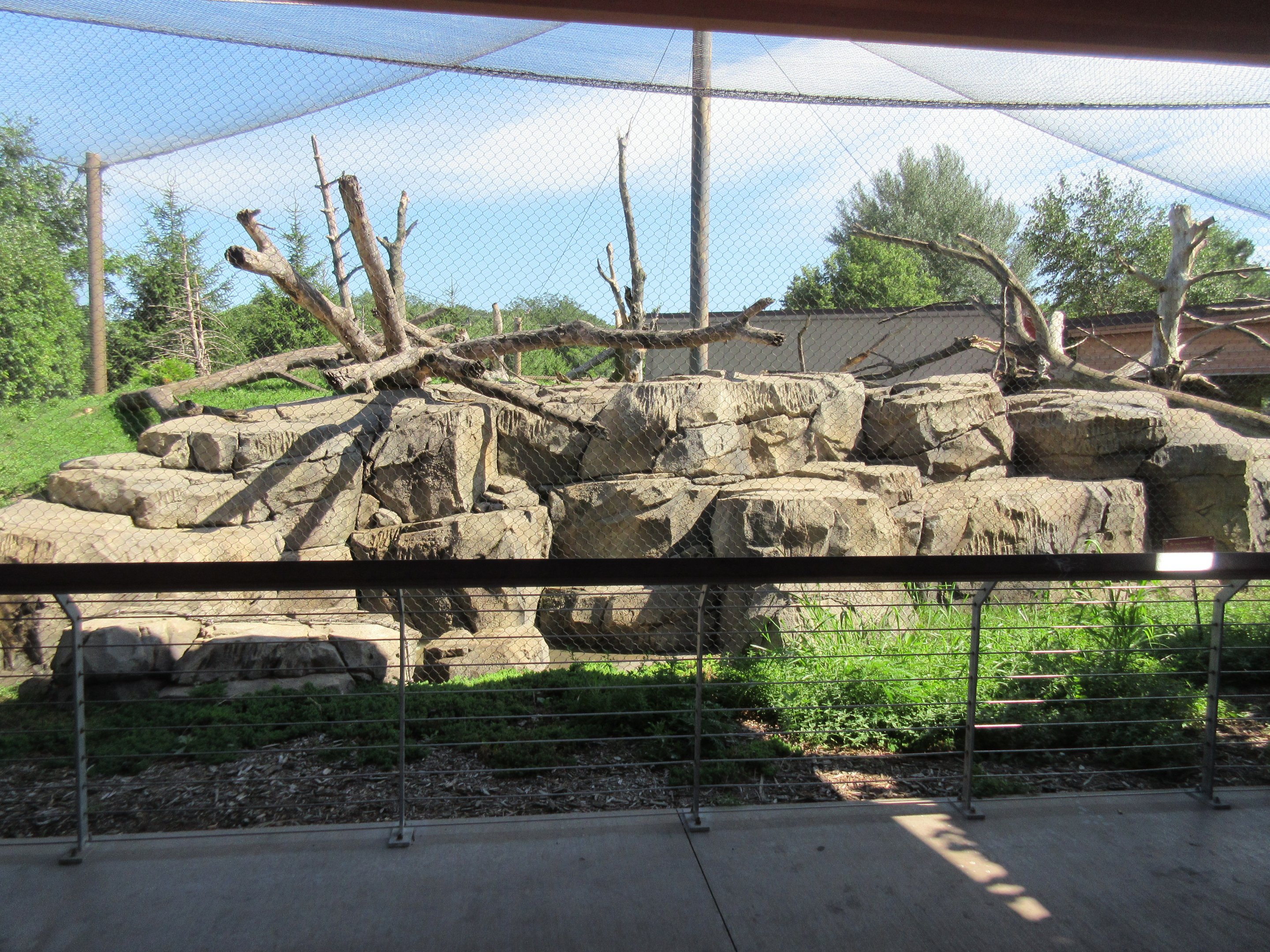 Japanese Macaque Exhibit (New in 2013)