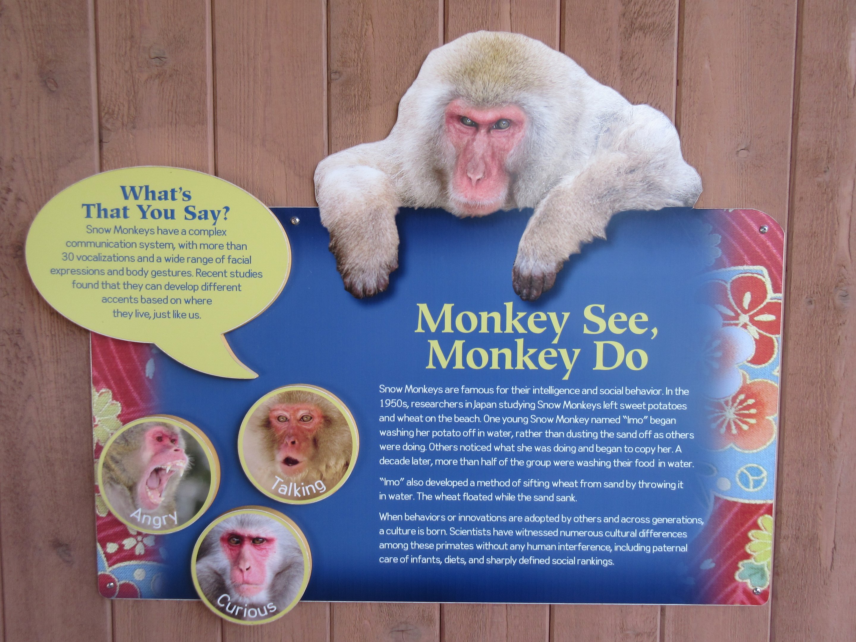 Japanese Macaque Exhibit (New in 2013)