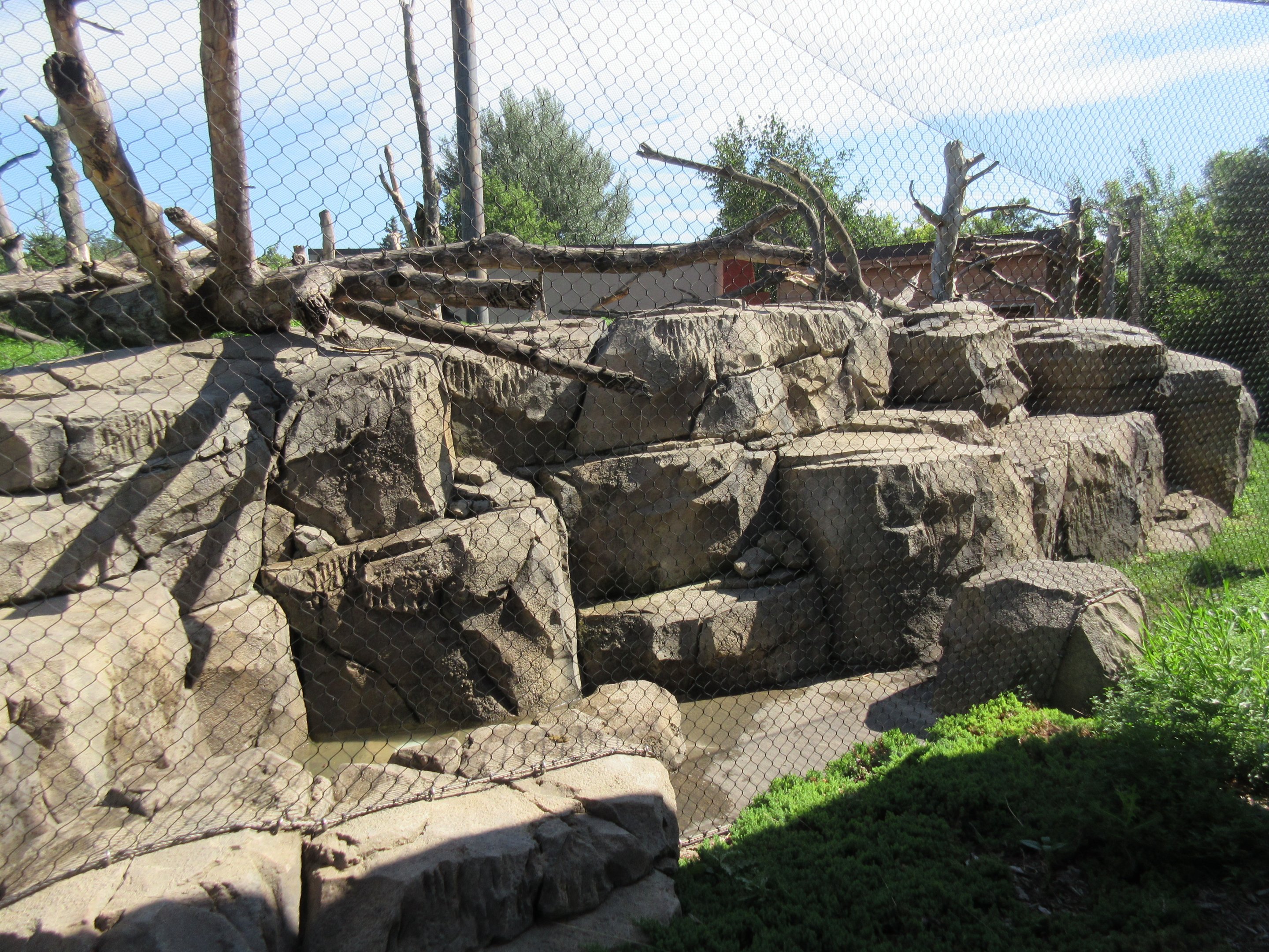 Japanese Macaque Exhibit (New in 2013)