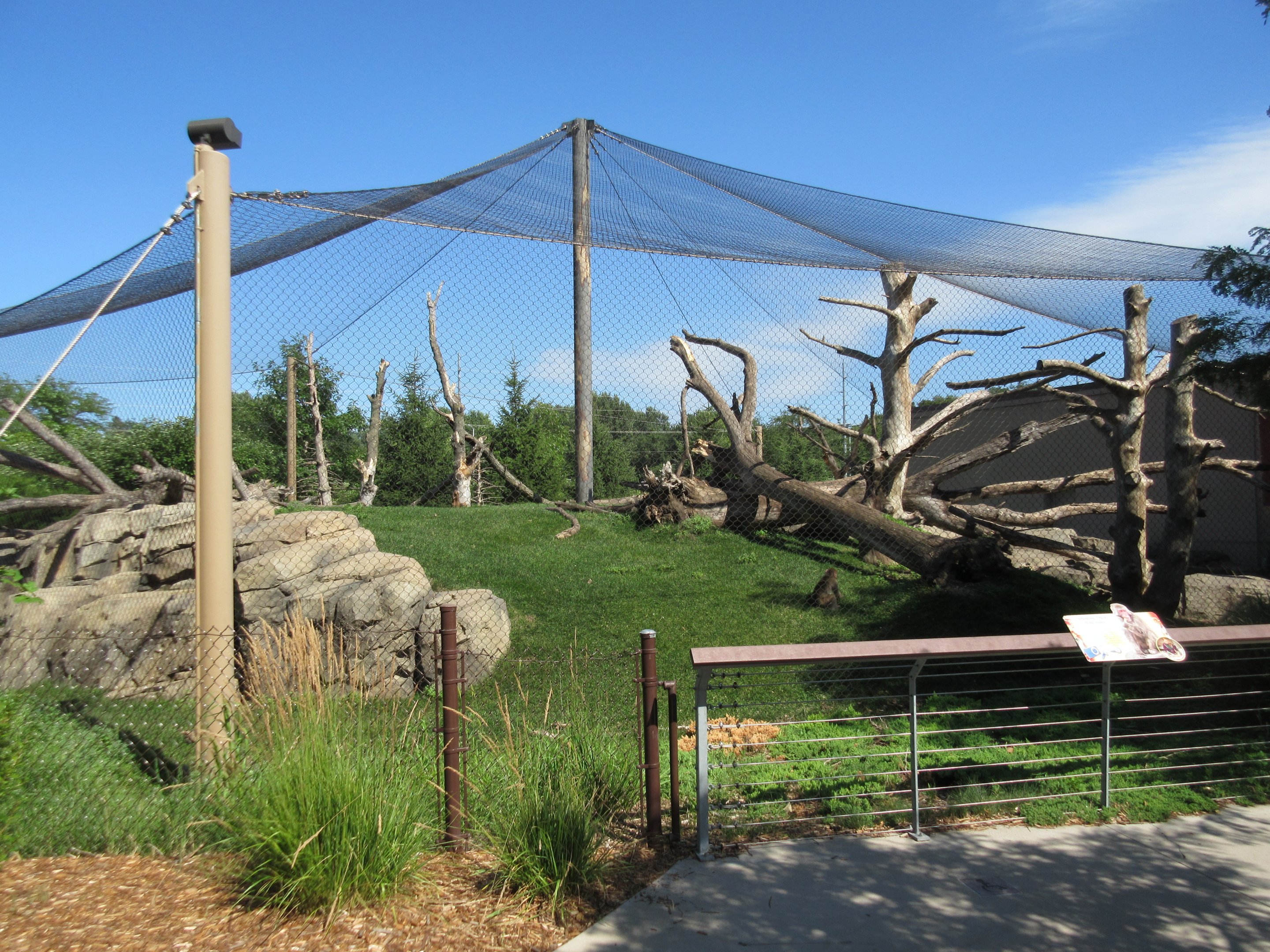Japanese Macaque Exhibit (New in 2013)
