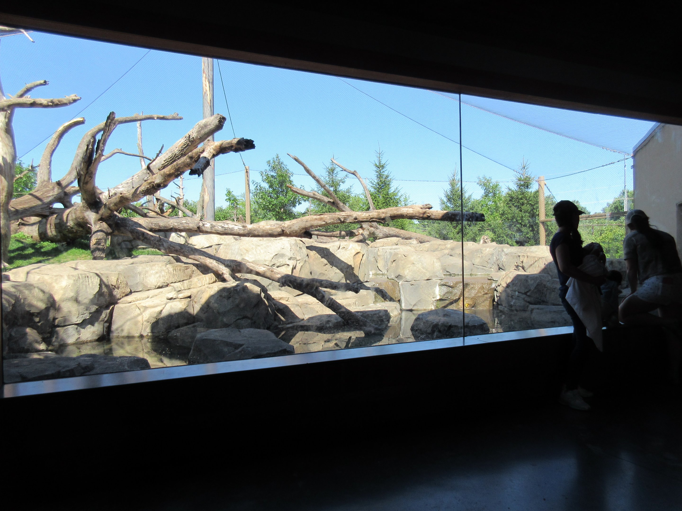Japanese Macaque Exhibit (New in 2013)